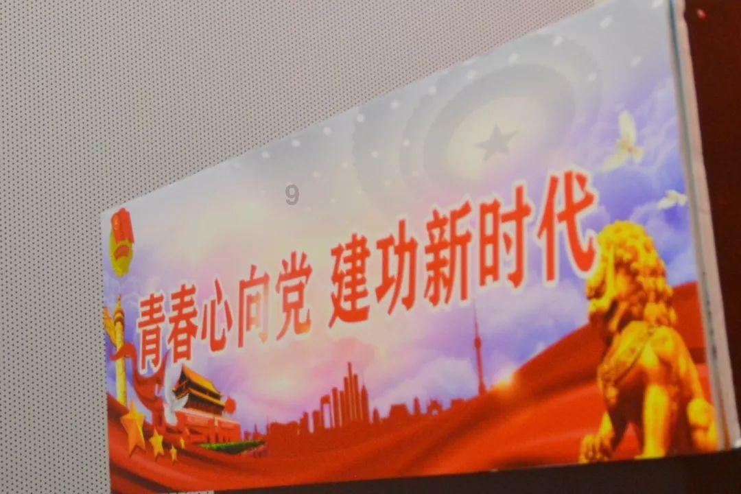 家里的阿拉斯加狗六个月大了，胆子特小不敢下楼梯，一直在平台散养，也没时间遛狗和寻狗，现在在训来得及游戏画面